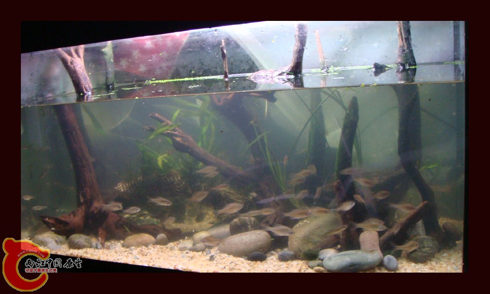 DSC01406.jpg DSC01406.jpg