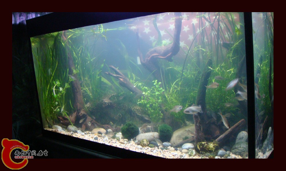 DSC01411.jpg DSC01411.jpg