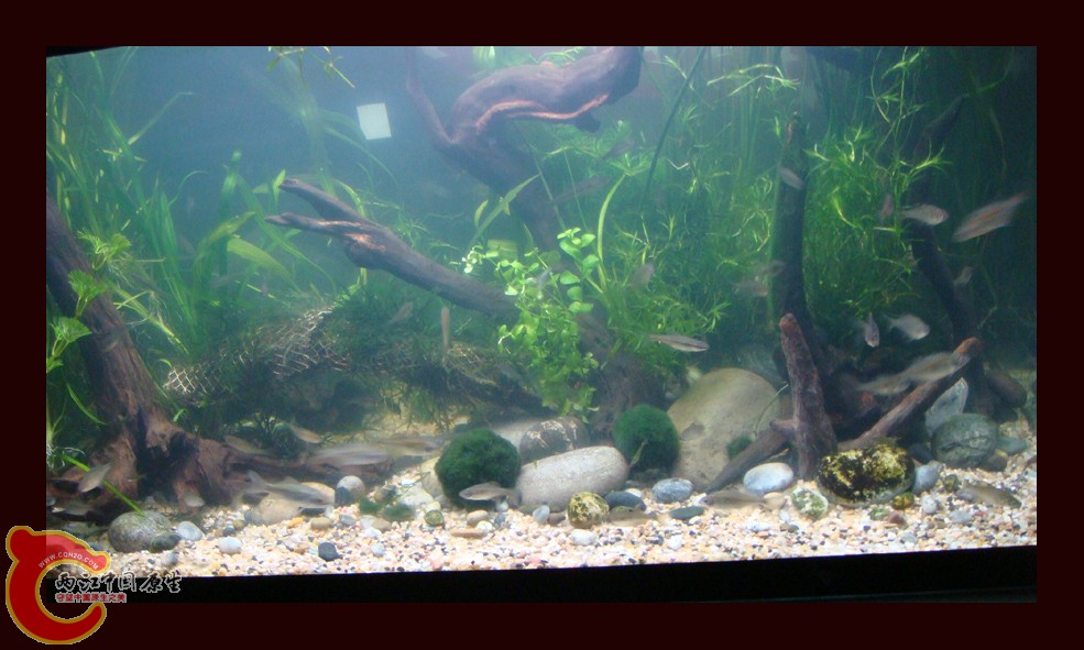 DSC01408.jpg DSC01408.jpg