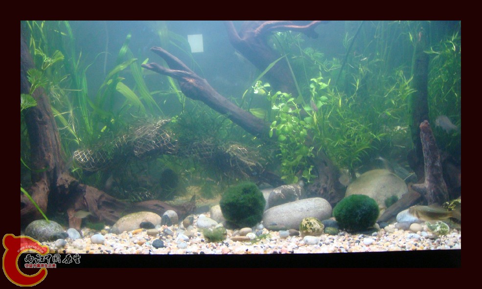 DSC01412.jpg DSC01412.jpg