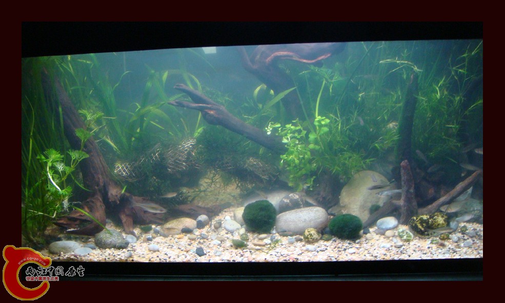 DSC01413.jpg DSC01413.jpg