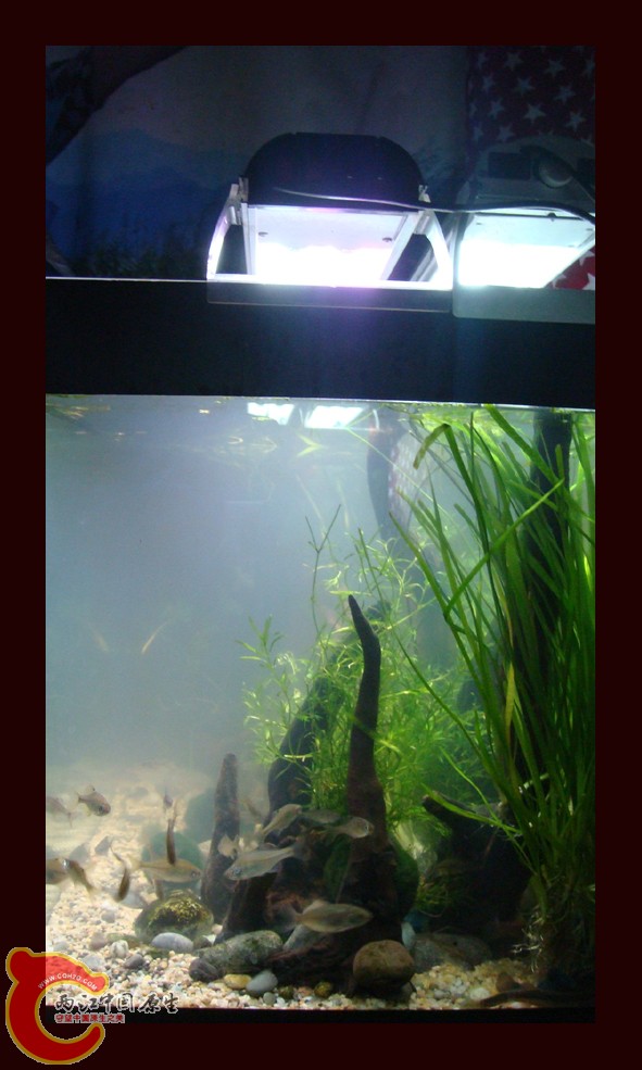 DSC01414.jpg DSC01414.jpg