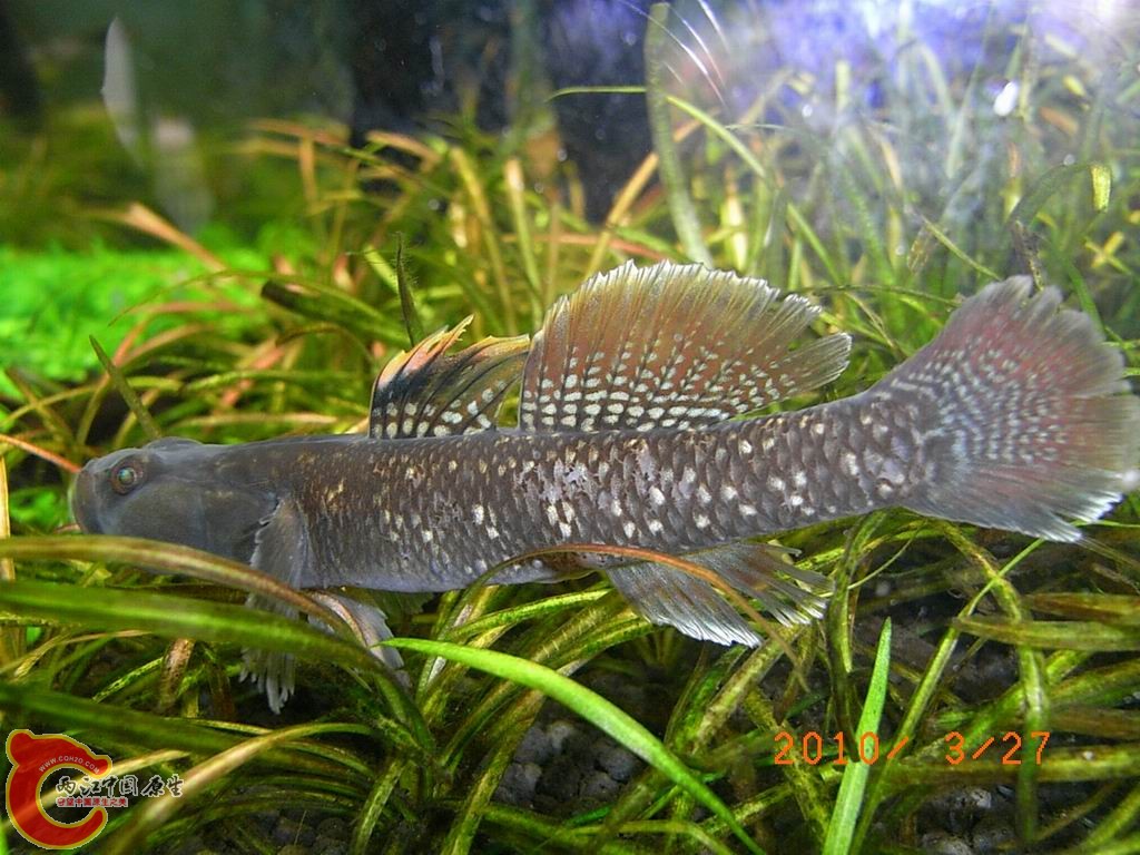 调整大小 RIMG0701.JPG