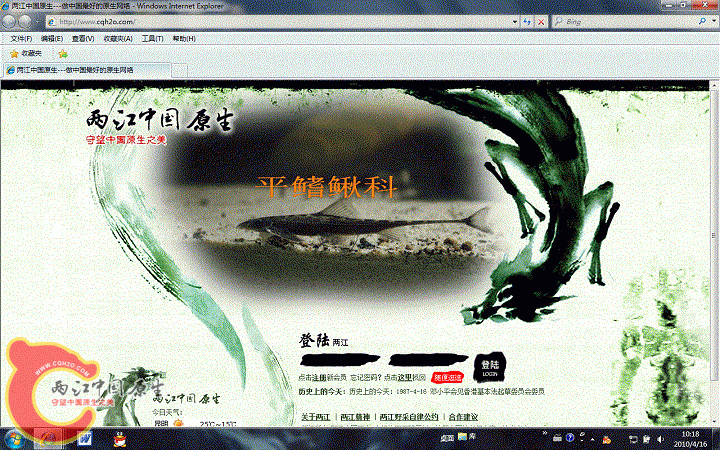 无标题.gif