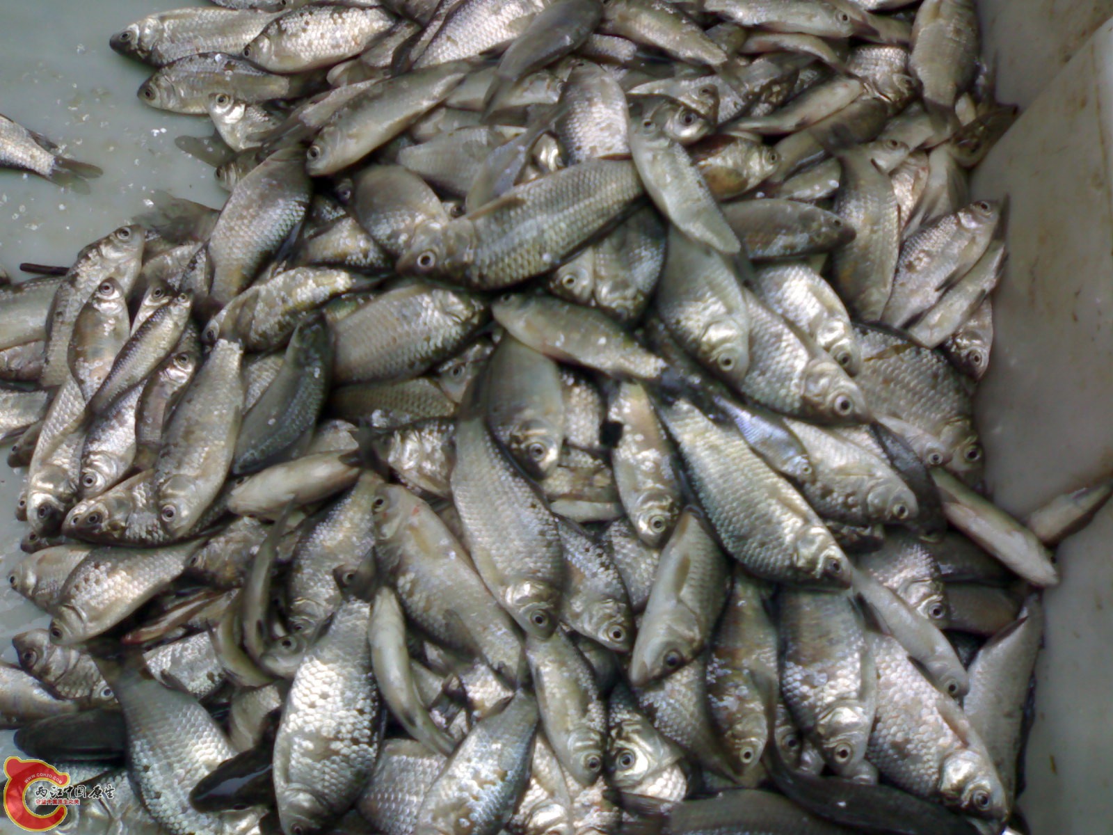 20100416406.jpg
