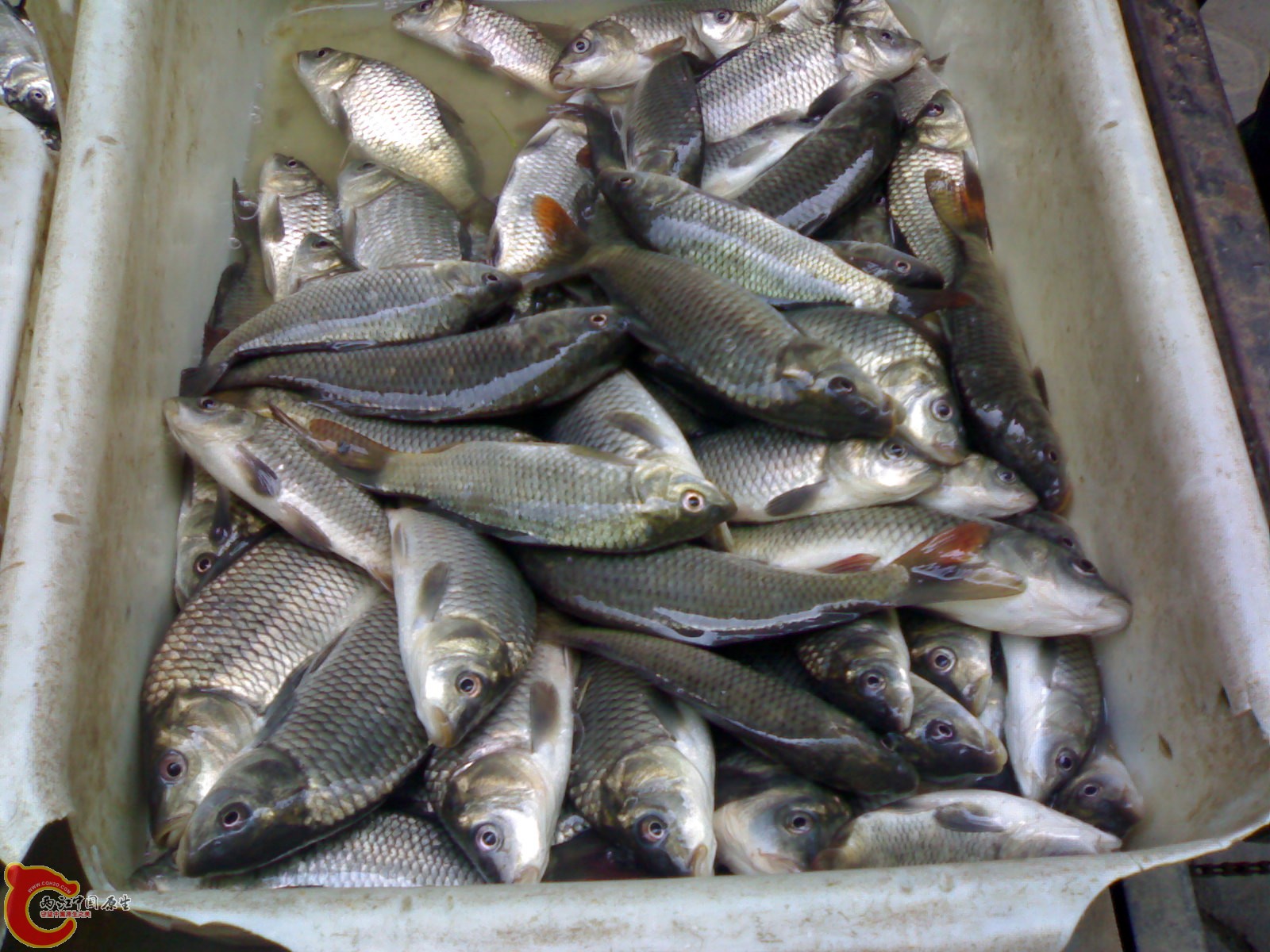 20100416408.jpg