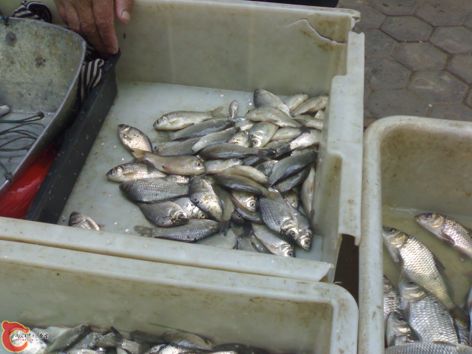 20100416409.jpg