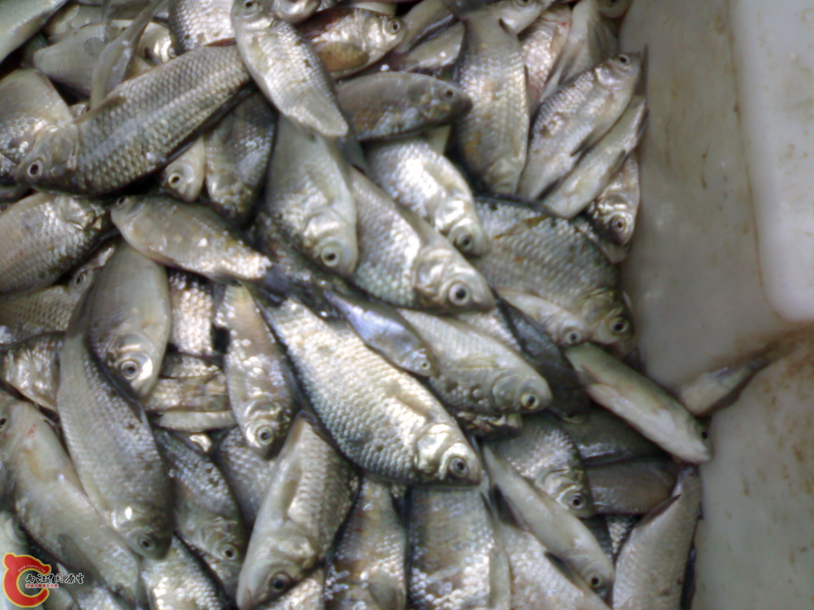 20100416407.jpg