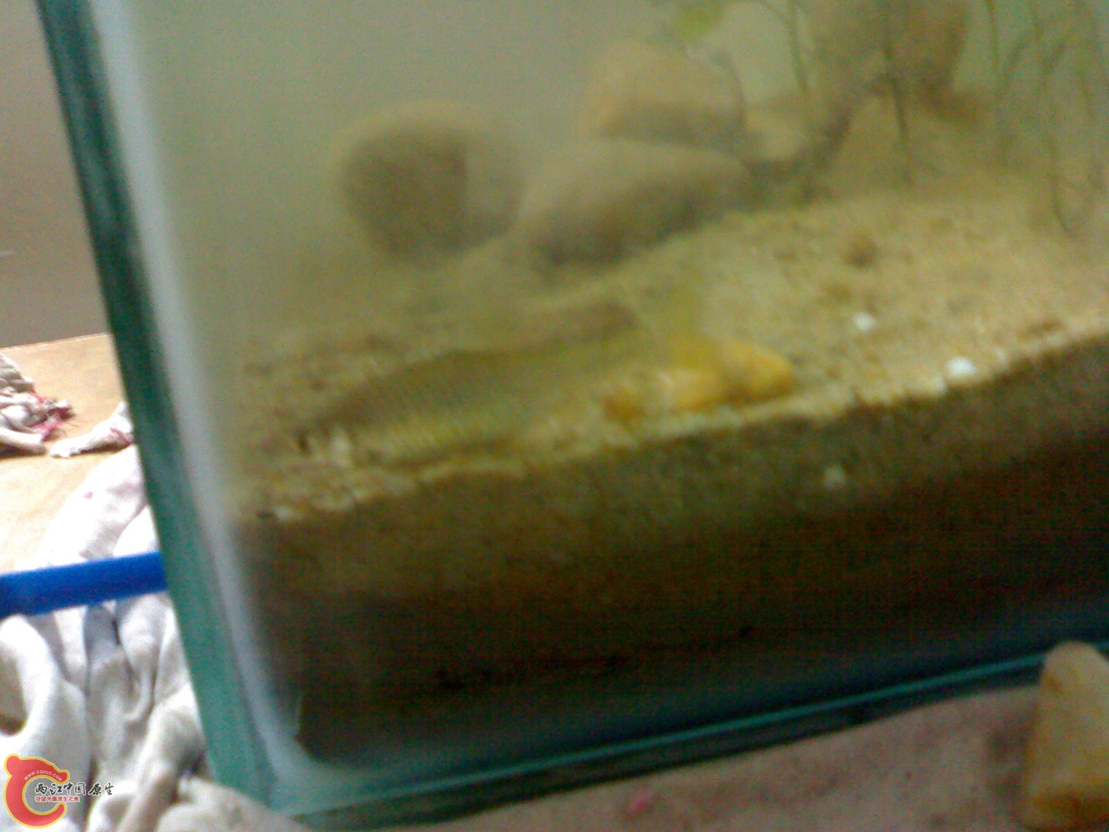 20100415388.jpg