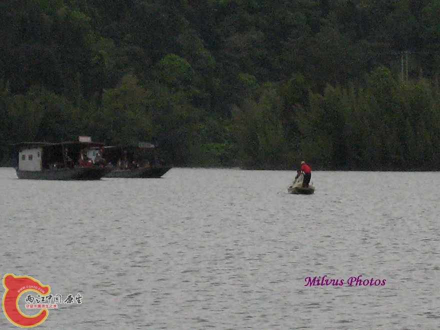 IMG_1289.JPG