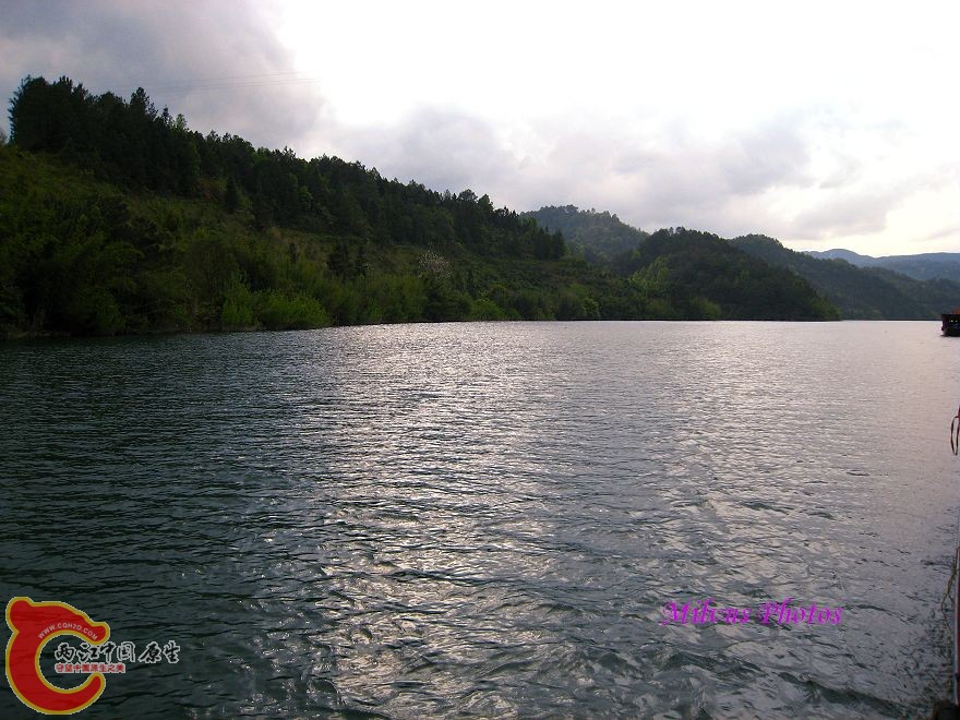 IMG_1300.JPG