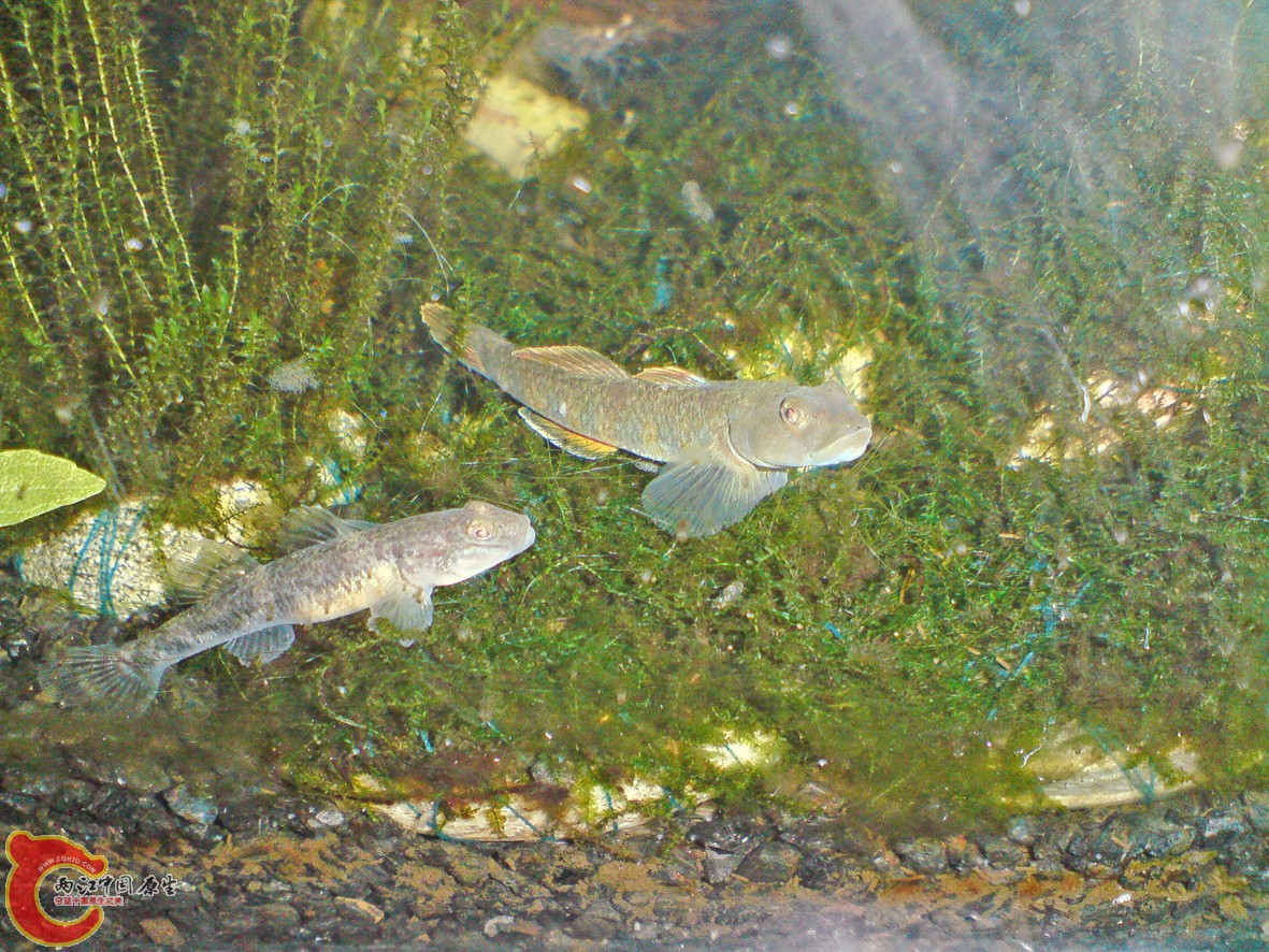 DSC01232.JPG