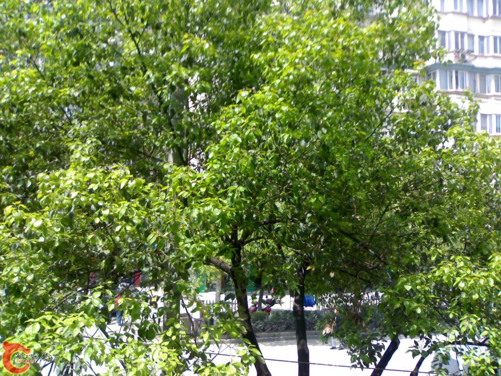 20100416411.jpg