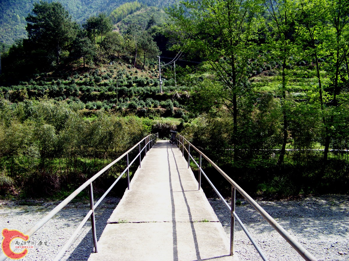过河桥