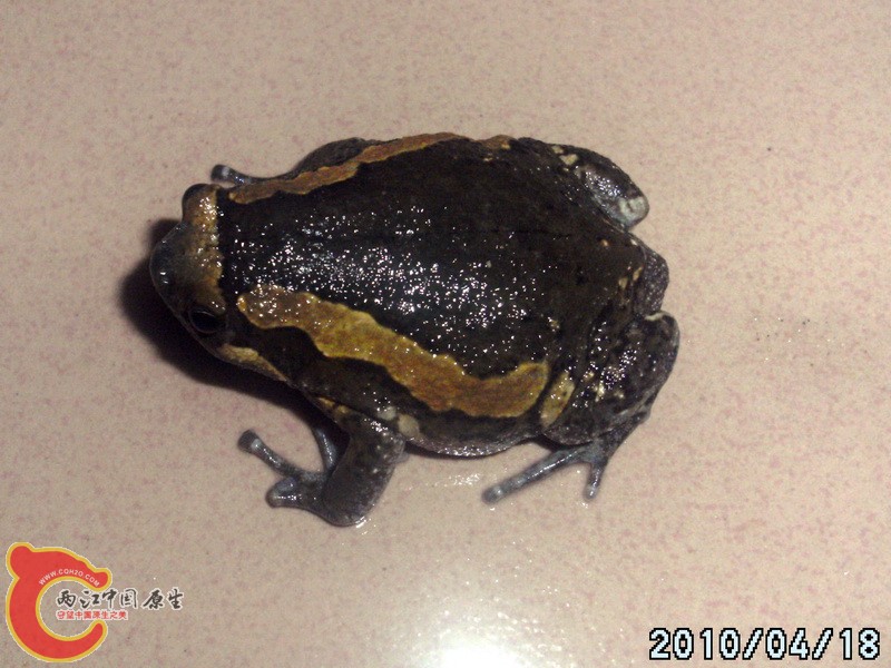 DSCK0132.jpg