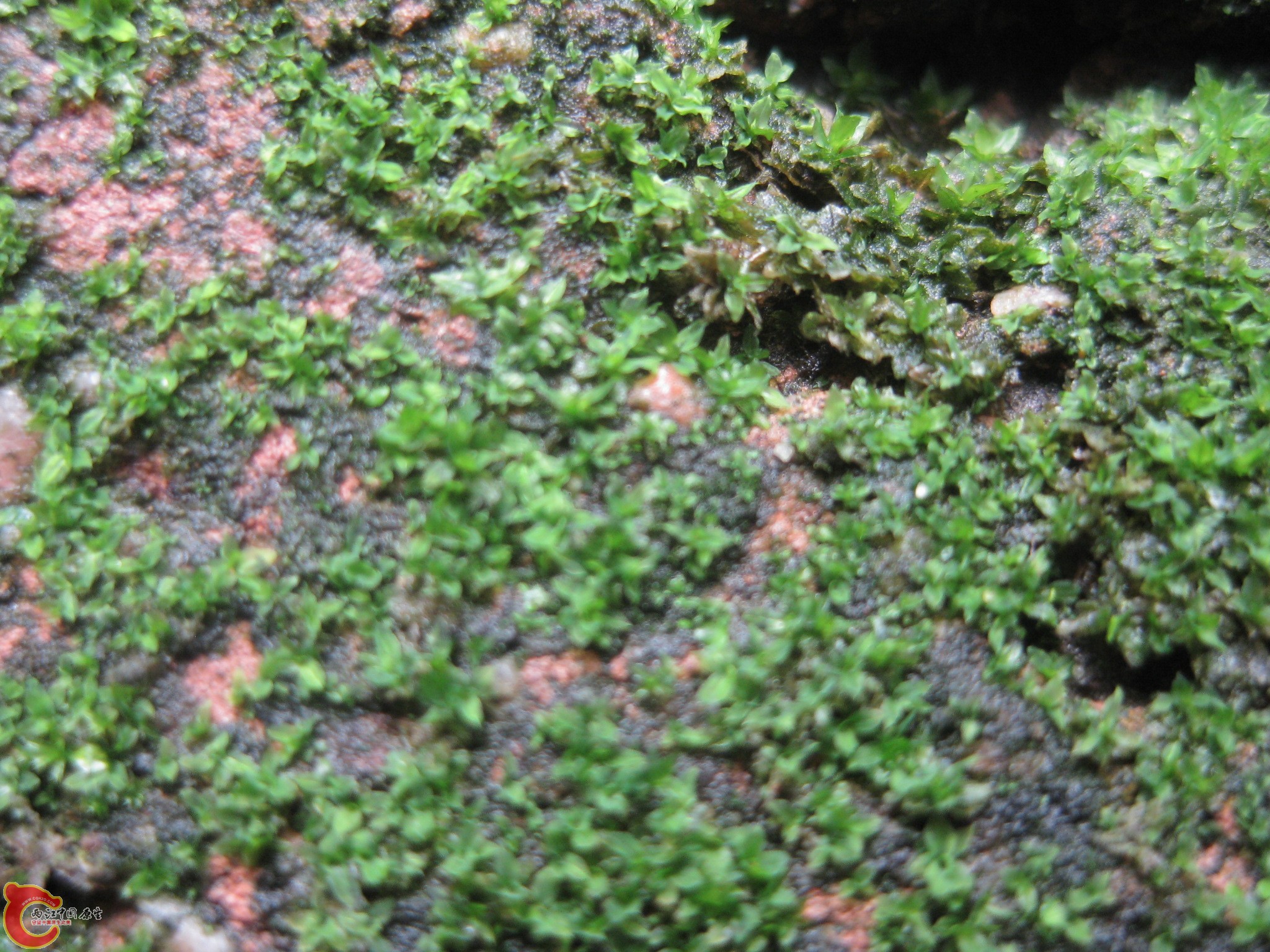 IMG_3385.JPG