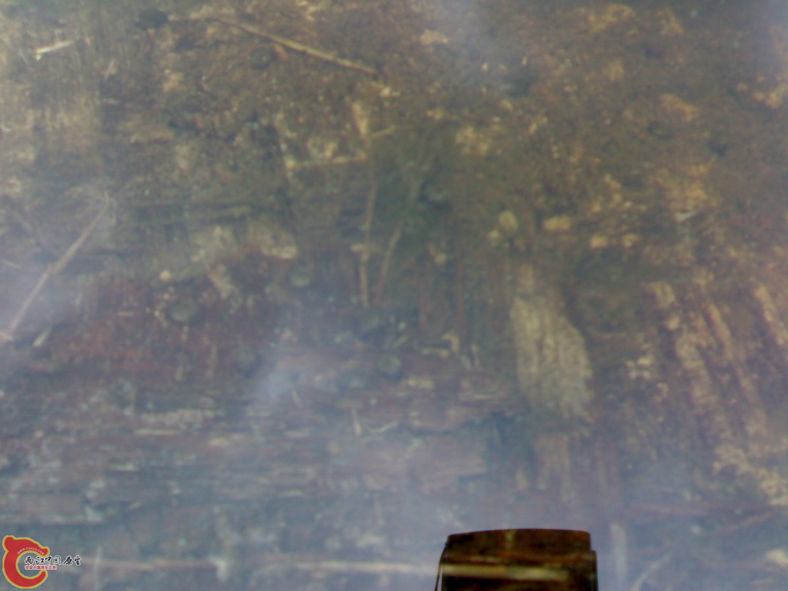 20100419480.jpg