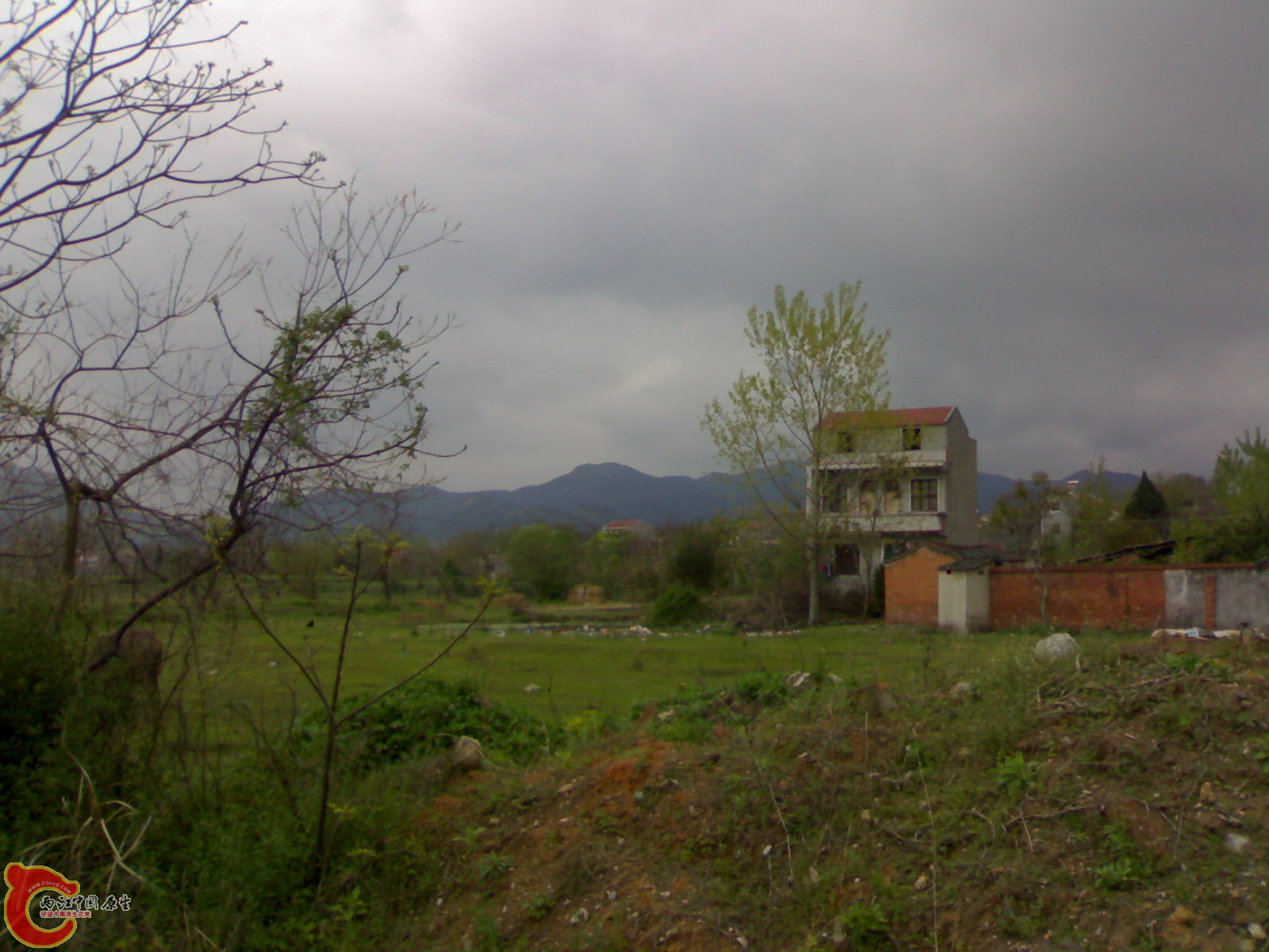 20100419503.jpg
