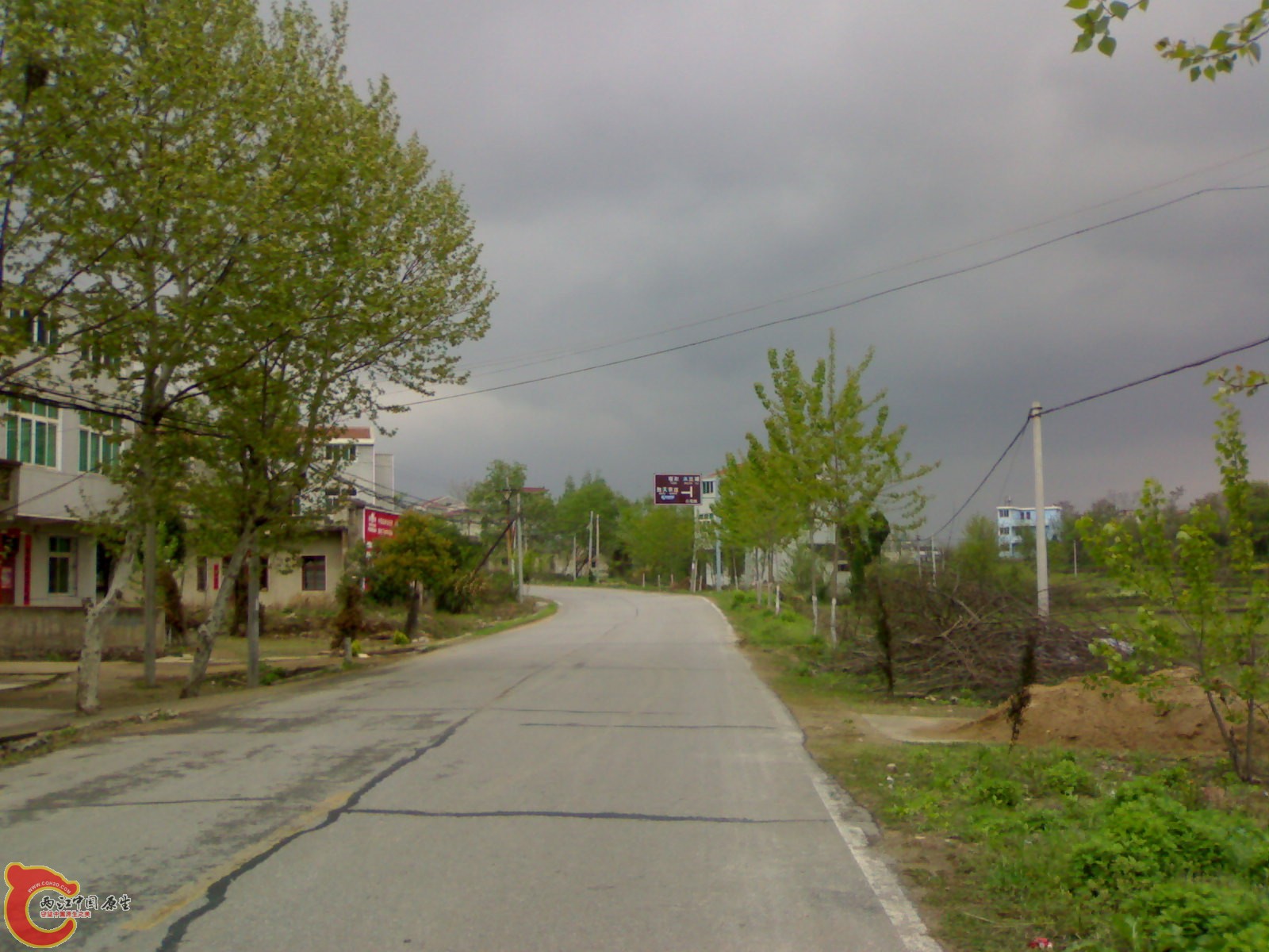 20100419506.jpg