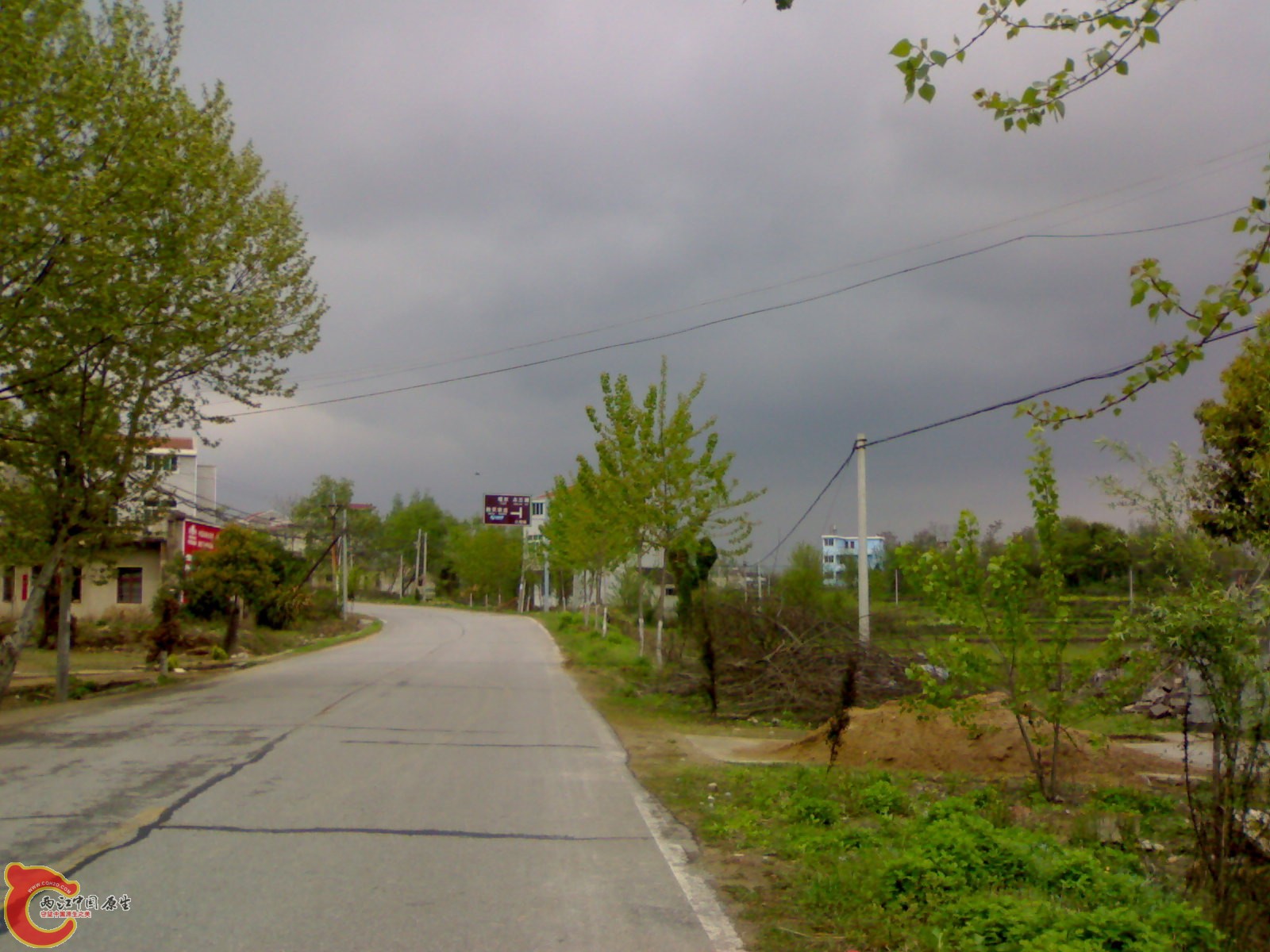 20100419507.jpg