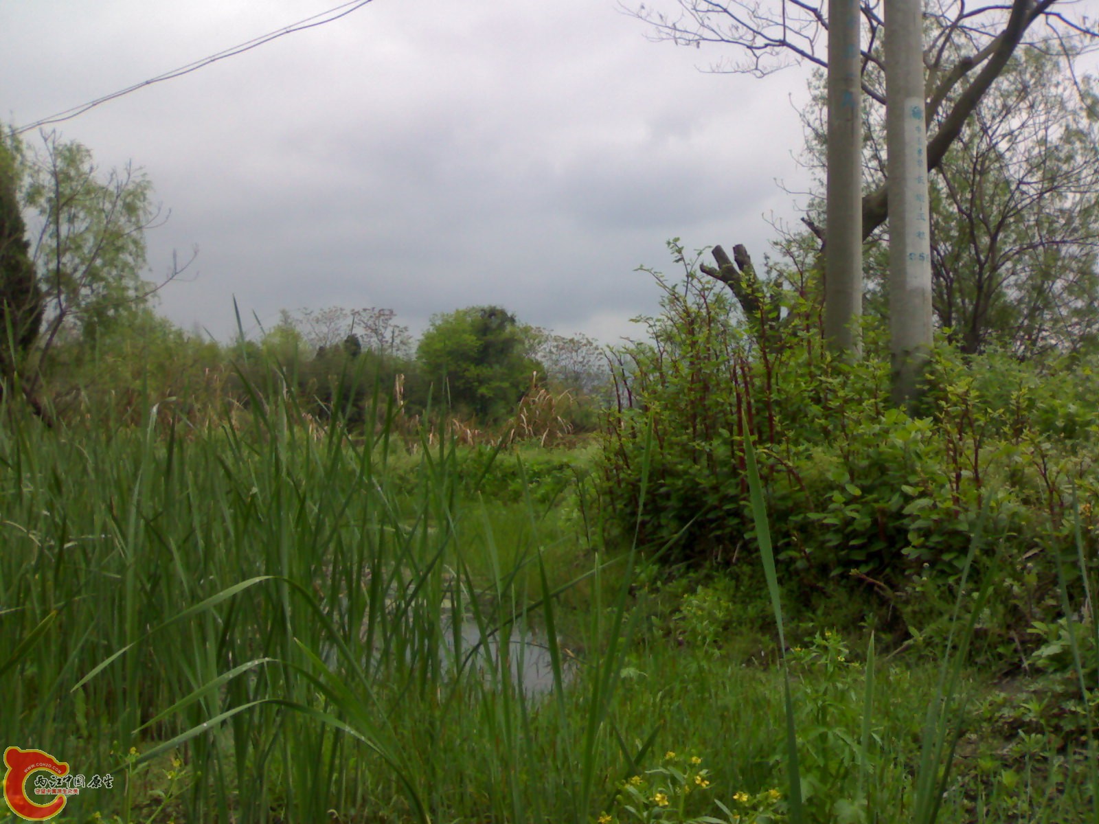 20100419511.jpg