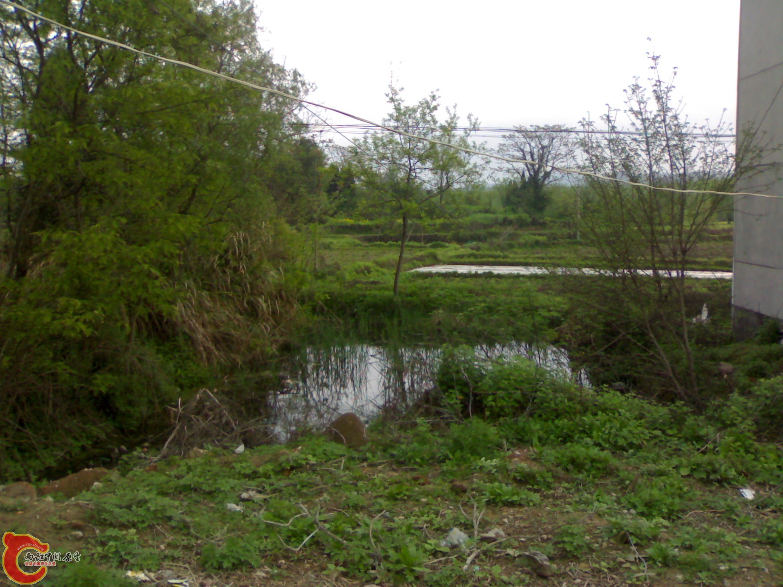 20100419516.jpg