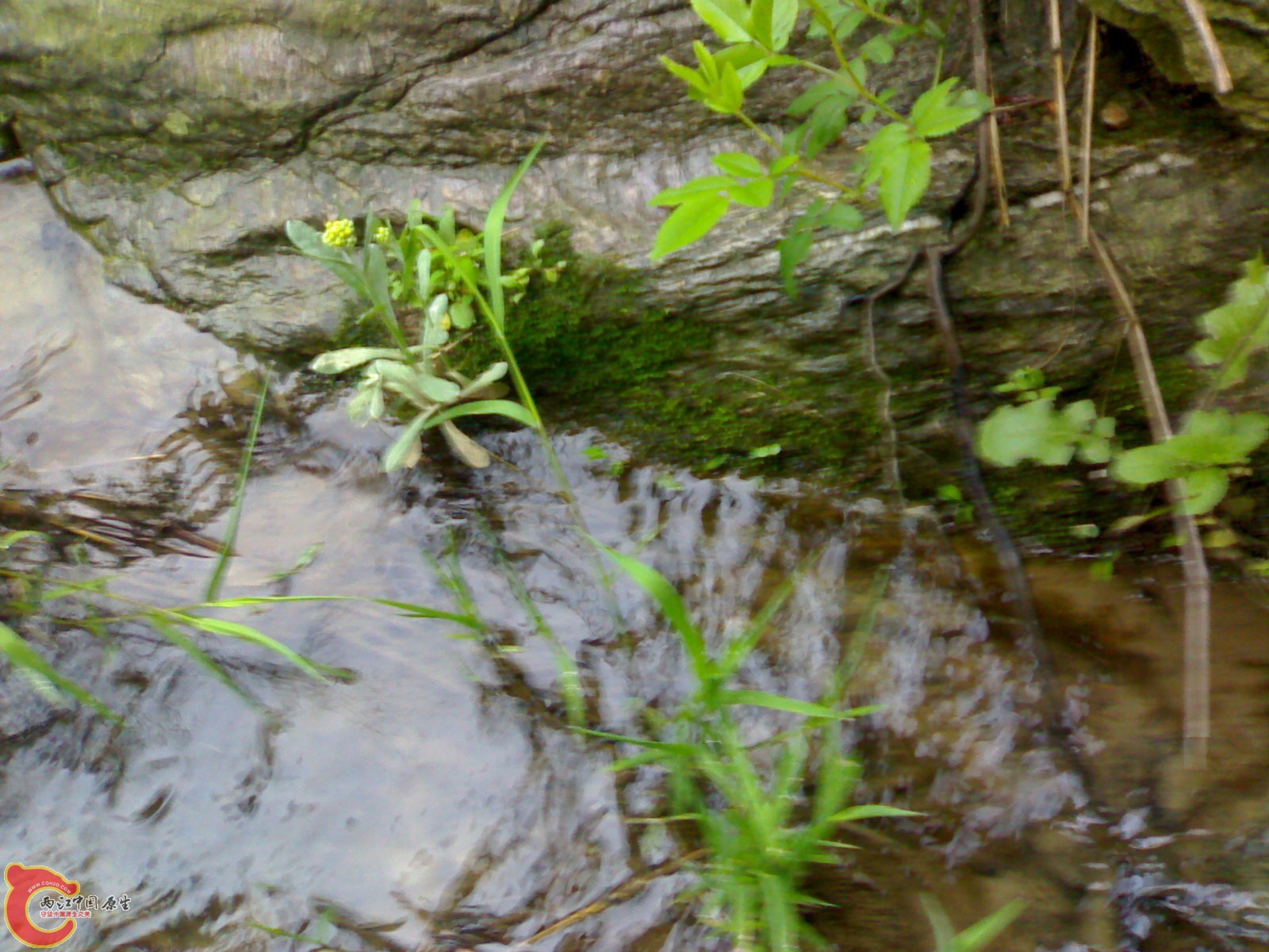 20100419548.jpg