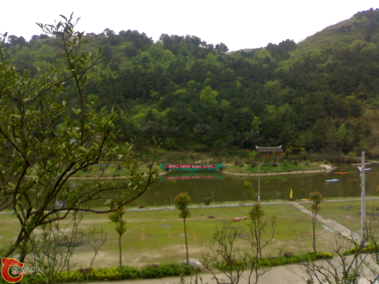 20100419556.jpg