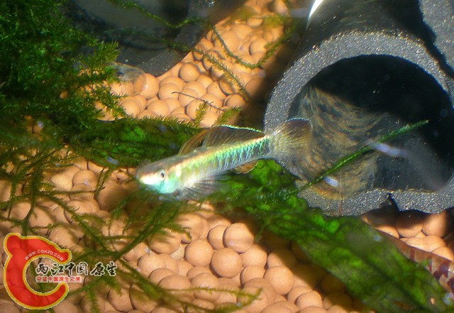 2010-04-20_00-35-26.JPG