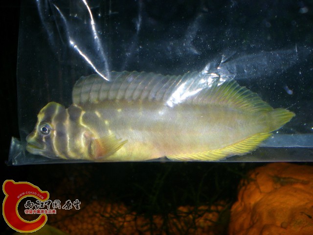 2010-04-20_00-32-12.JPG