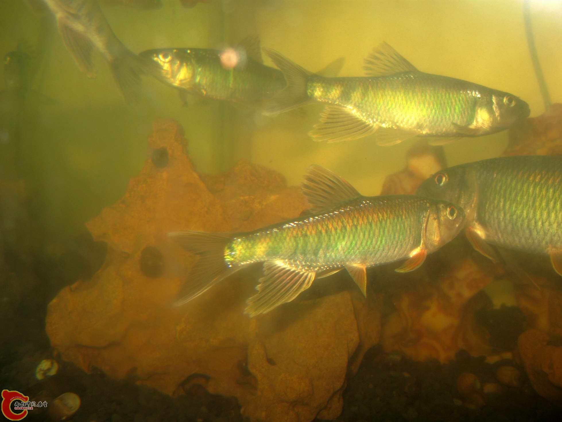 调整大小 照片 645.jpg