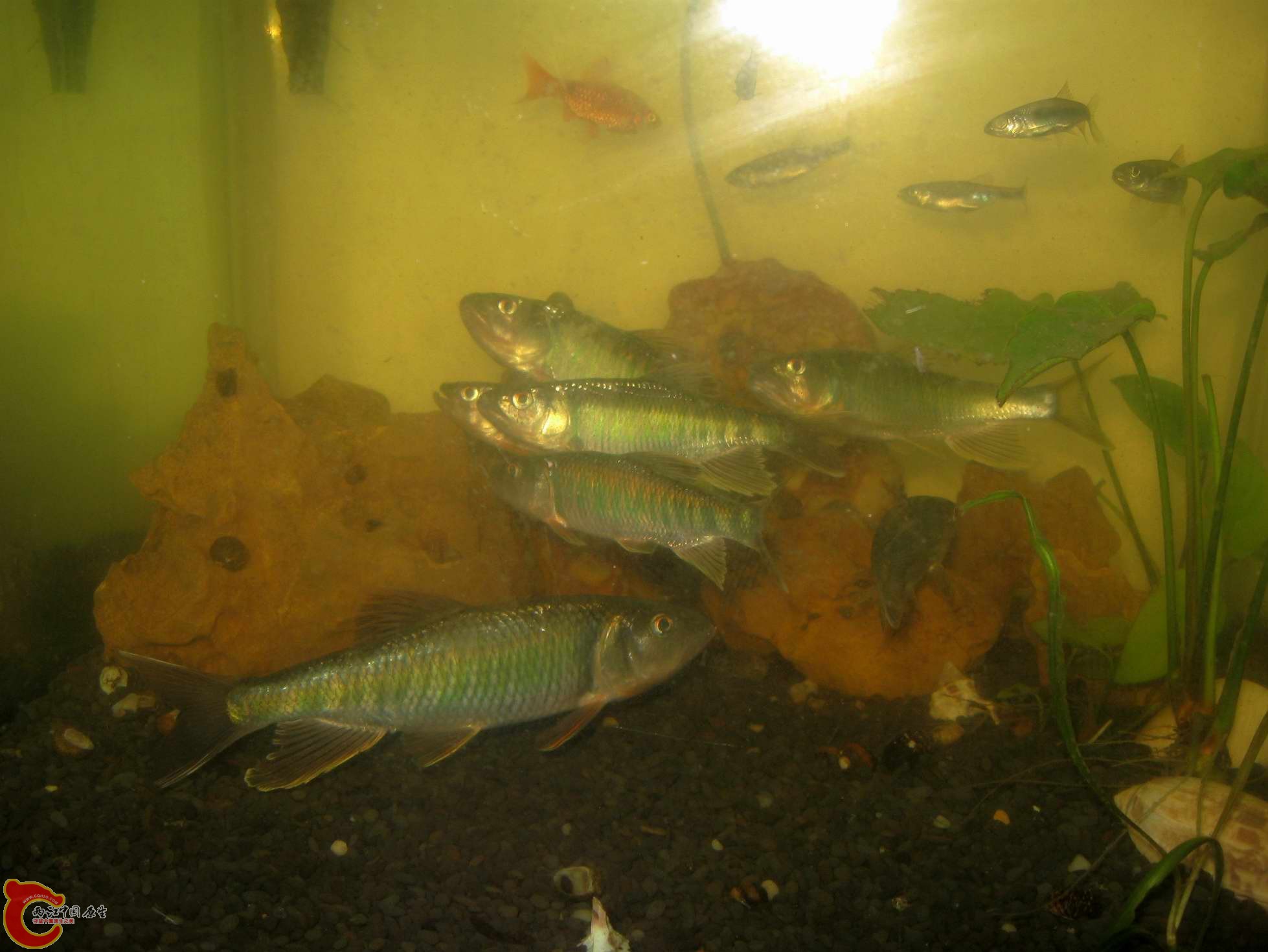 调整大小 照片 643.jpg