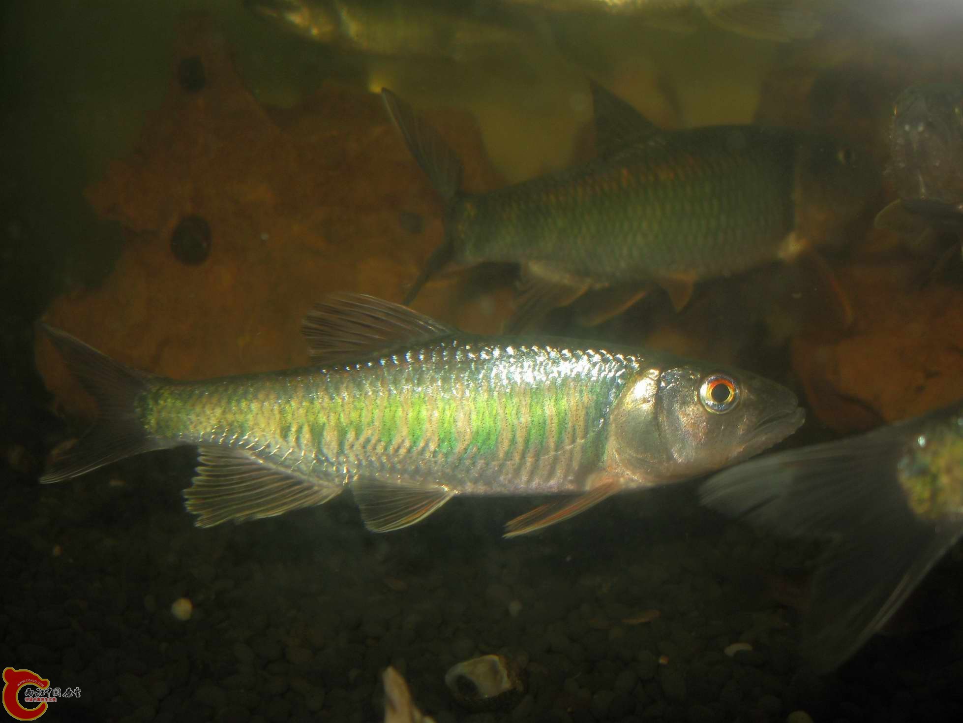 调整大小 照片 650.jpg