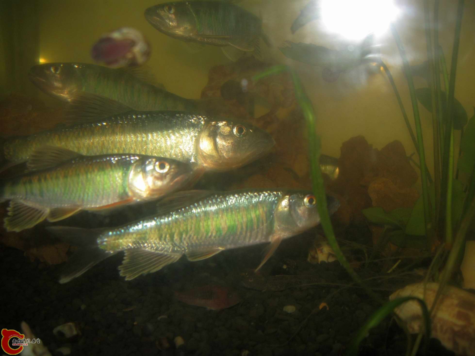 调整大小 照片 653.jpg