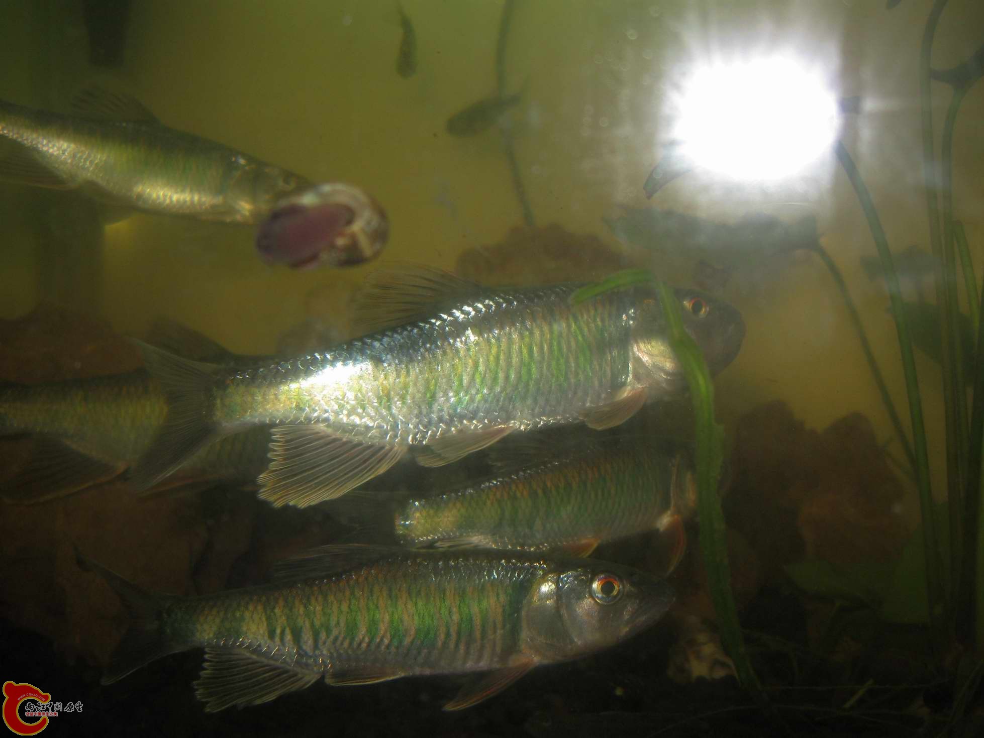 调整大小 照片 652.jpg