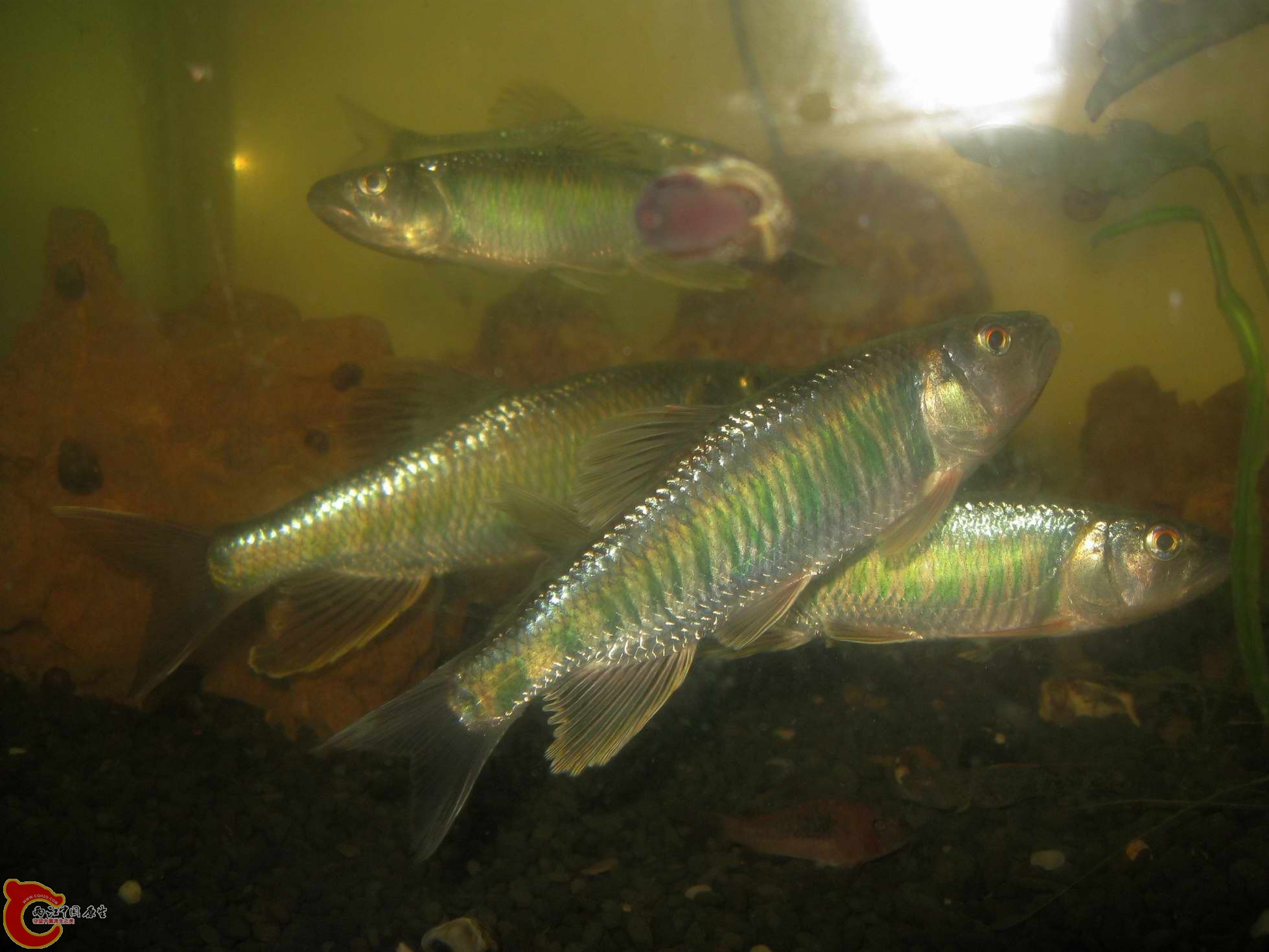 调整大小 照片 655.jpg