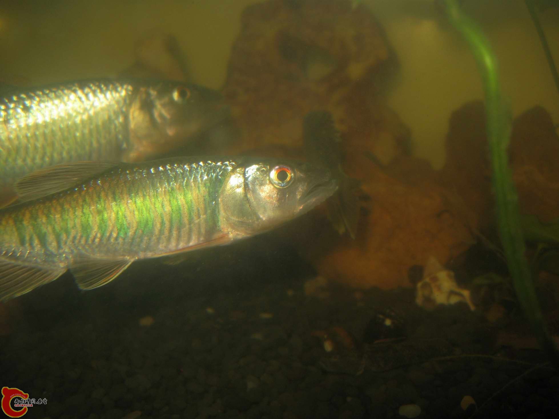 调整大小 照片 656.jpg