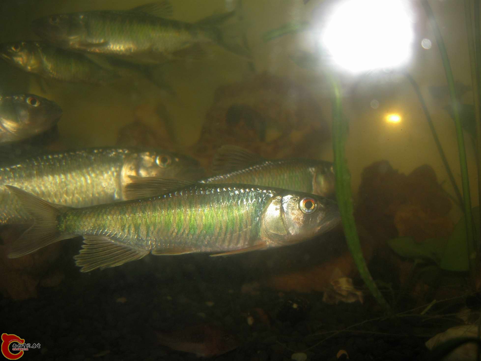 调整大小 照片 651.jpg