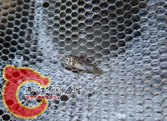 DSCF4163.jpg