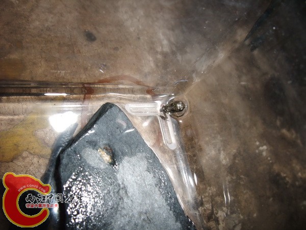 DSCF4278.jpg
