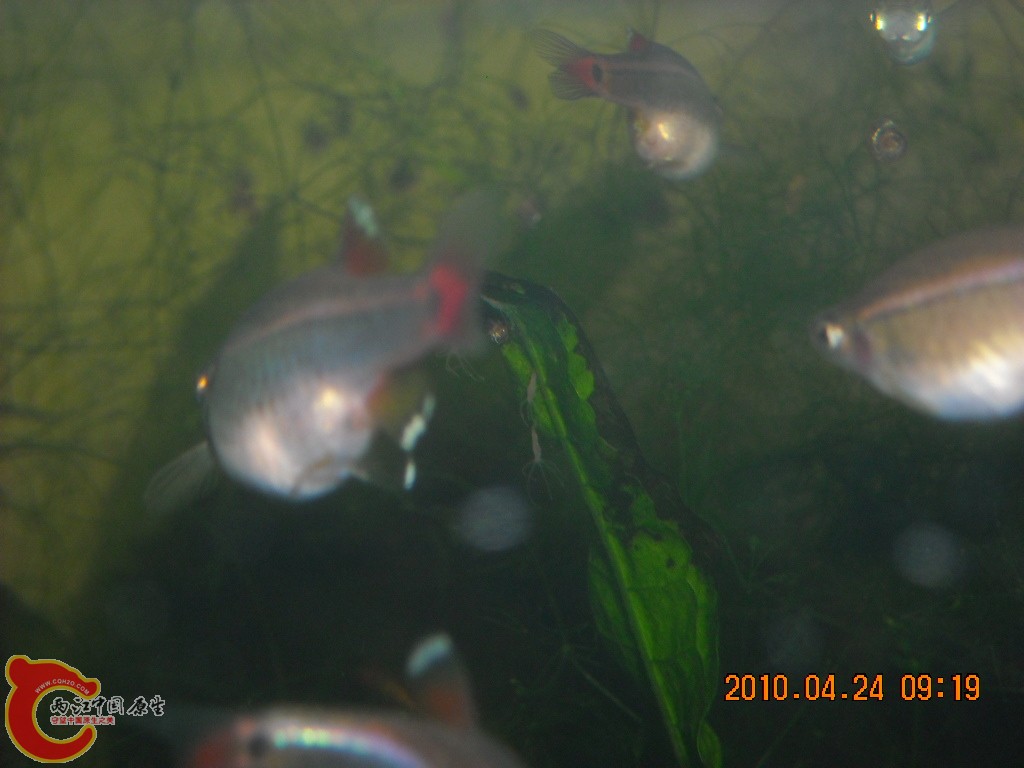 DSCN7148.JPG