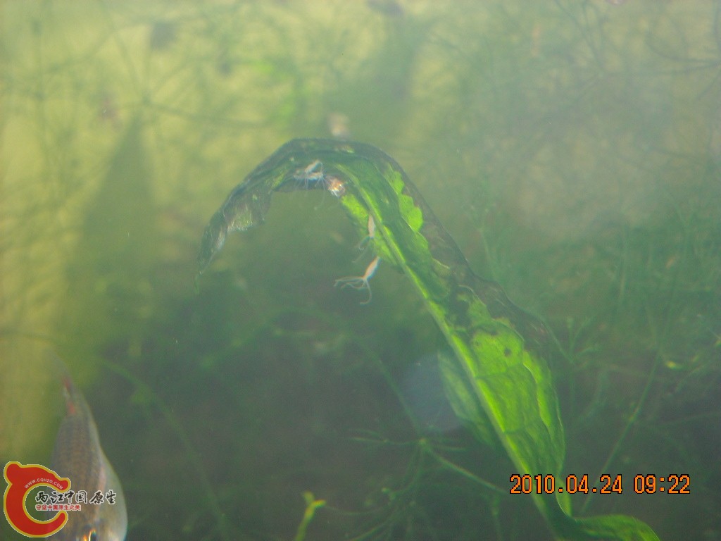 DSCN7150.JPG