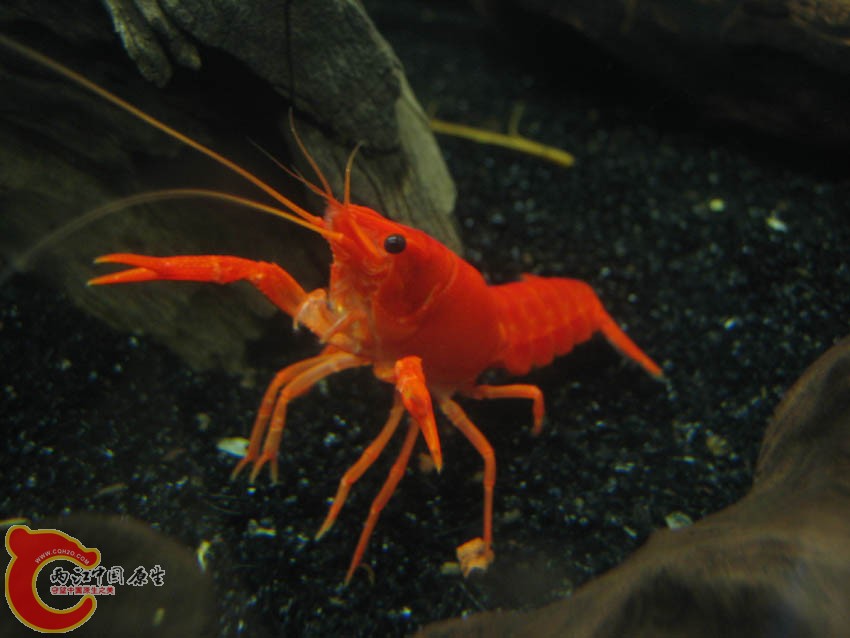 IMG_4323.JPG