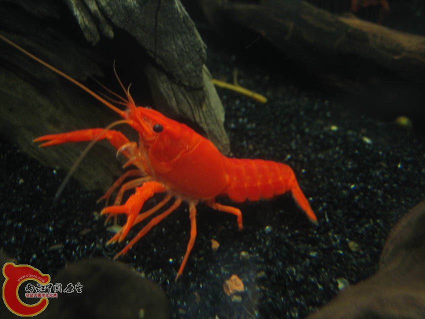 IMG_4322.JPG