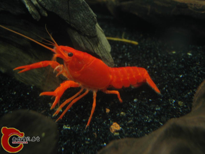 IMG_4320.JPG