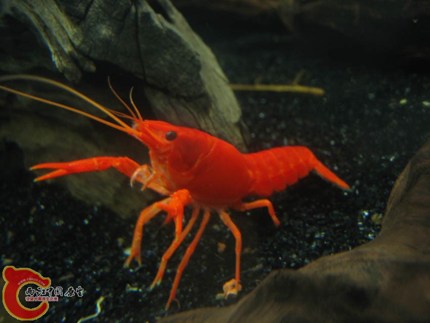 IMG_4324.JPG