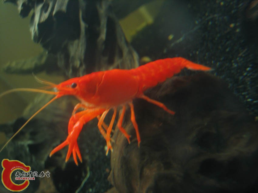 IMG_4329.JPG