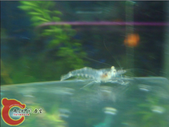 2010042405.jpg