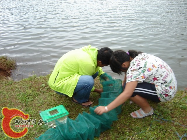 收获啊`妹妹帮忙