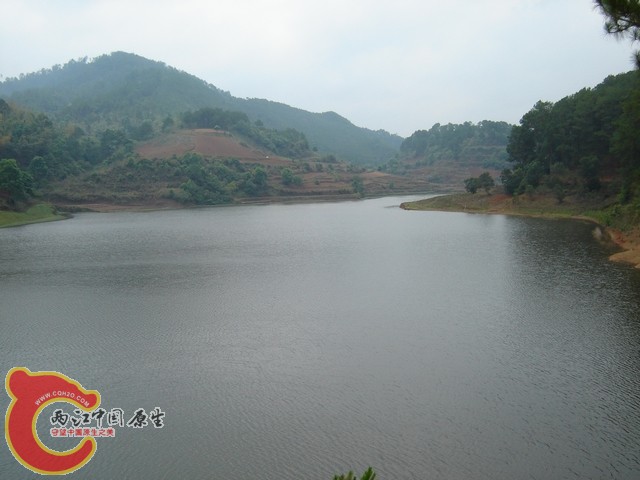 野采地点，西洱河水库